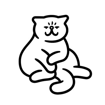 SMUG CHONK CAT SITTING LIKE A SASSY, JUDGING QUEEN
