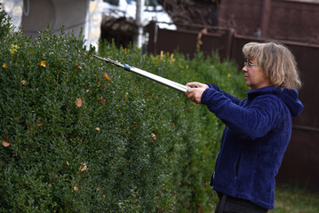 Woman trimming a garden hedge
