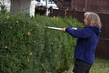 Woman trimming a garden hedge