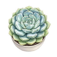 Obraz premium Succulent plant in a pot: A detailed, top-down view of a vibrant succulent, showcasing its spiral arrangement of fleshy leaves within a simple, elegant pot.