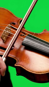 Dynamic String Vibrations with musician plays the violin green screen distortion, overlay, glitch, static noise, scan lines on black background, 4k animated video loop