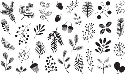 Christmas pine cone, fir tree, branch needle, leaf. Winter sprig, holly berry, Xmas spruce, mistletoe, evergreen cedar, black twig hand drawn isolated on white background. Nature vector illustration © Masud