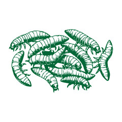 Pile of Fishing Maggots