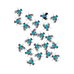 Flies swarm together