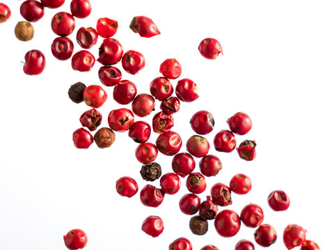 Pink Pepper on white background