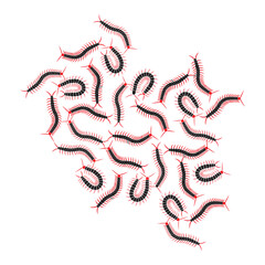 Centipedes Cluster