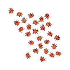 Arrow of ladybugs
