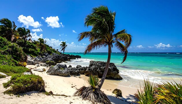 Tropical beach scene palm tree, turquoise water, sandy shore, and rocky coastline under a vibrant blue sky