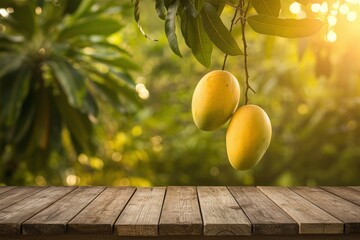 Tropical Mangoes Hanging in Lush Garden, Golden Sunlight, Wooden Table