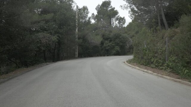 Road asphalt gimbal stabilized traveling curve bend turn sweep mountain overcast trees