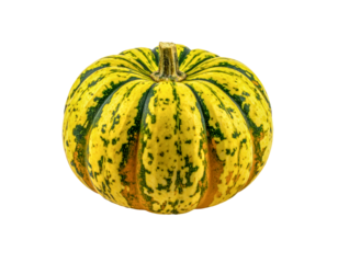 Close up of yellow pumpkin gourd squash vegetable food autumn harvest on transparent background