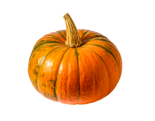 Isolated pumpkin gourd orange autumn squash vegetable harvest food diet on transparent background