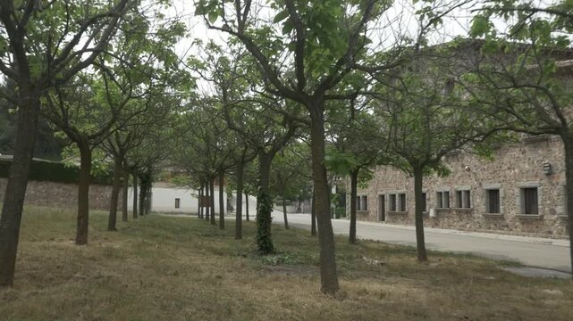 Trees gimbal stabilized traveling Cavall Bernat stone house vanishing point