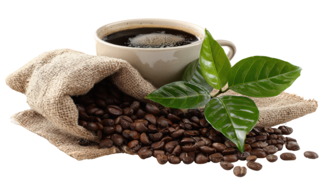 A cup of coffee surrounded by coffee beans and green leaves on white isolate background.