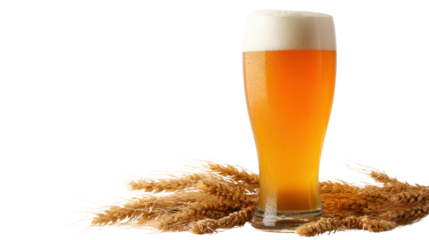 A refreshing beer glass on a white isolated background, with barley for an artistic touch.