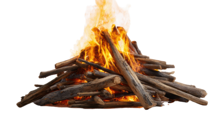 A vibrant campfire with flames and wooden logs, showcasing warmth and nature's ambiance.