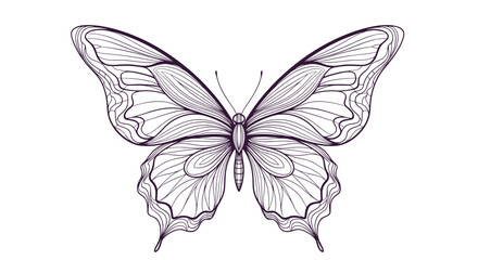 A detailed, elegant, black and white line art illustration of a beautiful butterfly with intricate wing patterns, perfect for design and coloring.