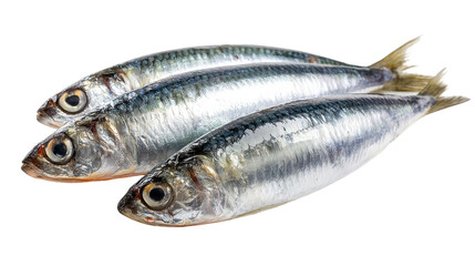 Fototapeta premium Fresh sardines on a white isolated background, ready for cooking or serving, healthy seafood option.