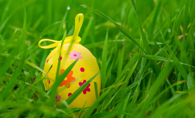 Easter egg in green grass