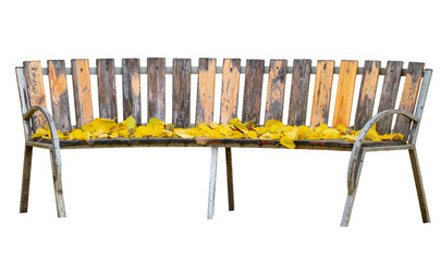 bench with yellow leaves isolated