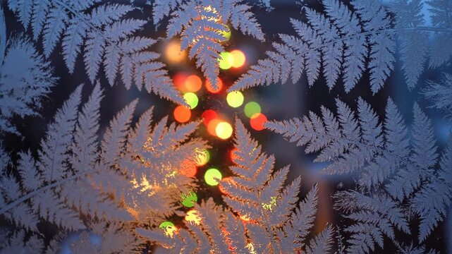 Frost-covered glass with a blurred background of festive lights. The icy patterns outline fern shapes