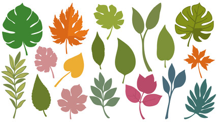 Set of Colorful Vector Leaves for Botanical Illustrations and Natural Designs