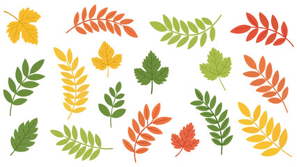 Colorful Leaves Collection Botanical Vector Art for Autumn Designs