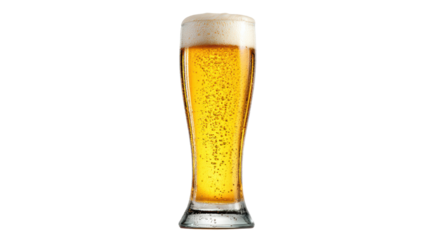 Refreshing beer served in a tall glass, featuring golden liquid and foamy head on a white isolated background.