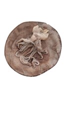 seppia octopus fresh raw cuttlefish on a plate.