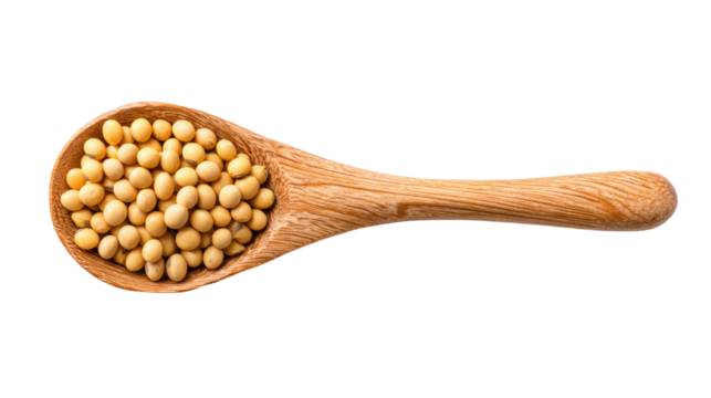 Spoon filled with raw yellow mustard seeds on a white isolate background.