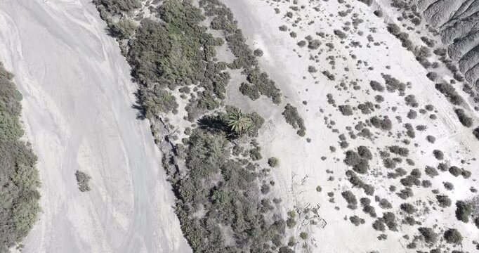 Aerial drone panorama shot of oasis in desert with palm trees and mountains in Tabernas, Almeria, Andalusia, Spain, Europe. Drone descending. Shot in ProRes 422 HQ