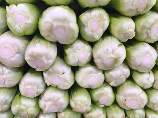 Close-Up of Fresh Mustard Greens with White Bases and Crisp Green Leafy Stalks