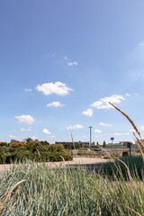 Tall Grasses and Riverside Vegetation Along Poznań Warta River in a Natural Urban Green Zone Under a Clear Blue Sky. Return to the River. Connecting Nature Poznań