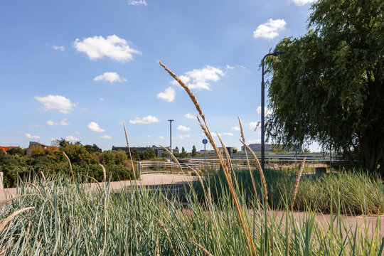 Riverside Park in Poznań with Tall Grass, Recreational Paths and Urban Greenery Near the Warta River on a Clear Day. Wartostrada. City Beaches Revitalization