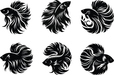 Beautiful Siamese fighting fish set featuring vibrant betta illustrations in elegant flowing poses. 