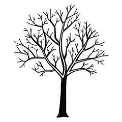 Obraz premium tree silhouette white background