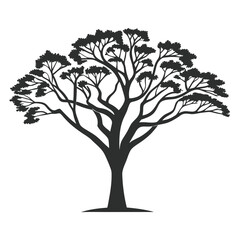 Obraz premium tree silhouette white background