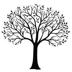 Fototapeta premium tree silhouette white background