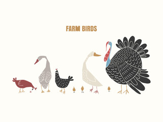 Silhouette farm birds. Cute cartoon chickens, geese, turkeys, and chicks.