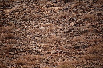 Arid rocky soil texture background (Boa Vista Island, Cabo Verde, Africa)