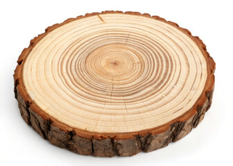 Wood slice tree ring cross section natural texture growth ring rustic timber bark edge organic round