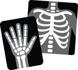 Simple X-ray skeleton illustration for educational use. Perfect for kids science, medical learning, anatomy concepts, and health education.
