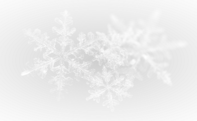 White Decorative Snowflake Illustration Png
