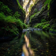 Sunlight illuminating a clear river winding through a deep, mossy green canyon with ferns and rocky walls.