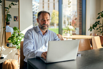 Professional Man Works on Laptop in Bright Cafe With Autumn Light and Plants