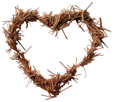 Pine needles are creatively shaped into a simple heart outline, isolated on a transparent background. This minimalist design emphasizes natural elements in art