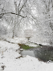 it is snowing heavily in the park, large flakes of snow are slowly falling on tree branches, no people, nobody