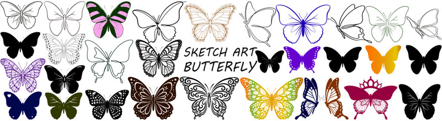 A collection of butterfly sketches and drawings in black and white with varying designs and styles