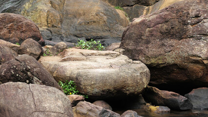 Rocks scattered on the banks of a river