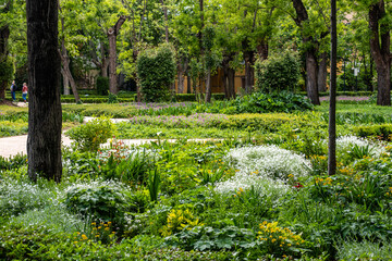 Fototapete bei efototapeten.de bestellen   